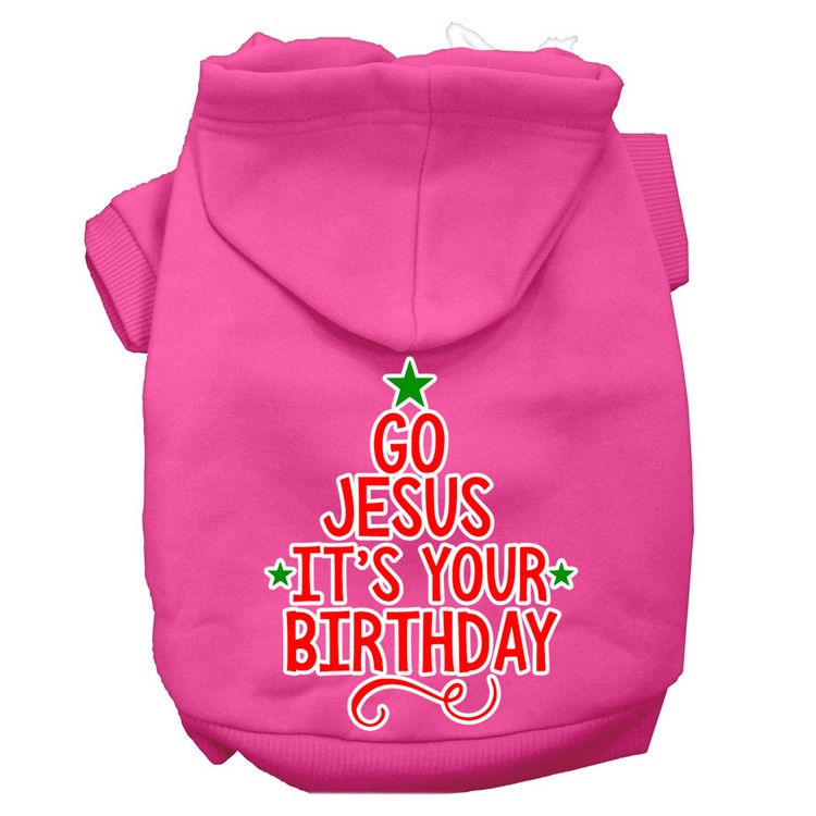 Go Jesus Screen Print Dog Hoodie Bright Pink XS